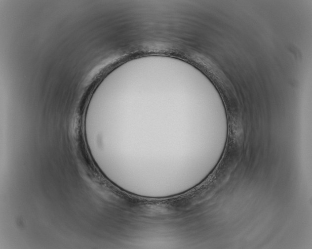 X0000113530583200910161351