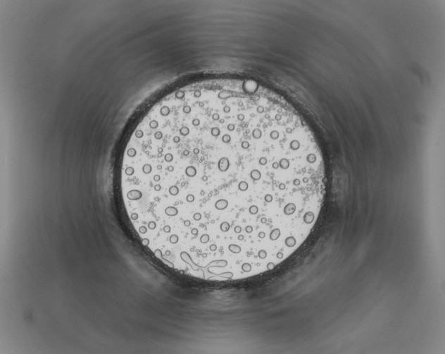 X0000113530584200910161351