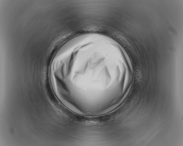 X0000113530586200910161351