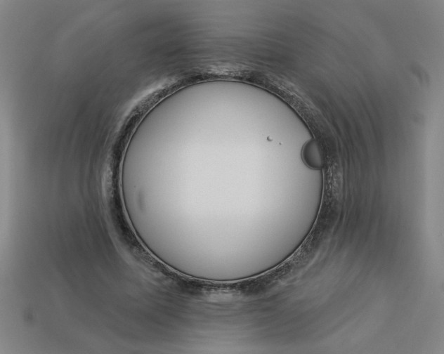 X0000113530587200910161351