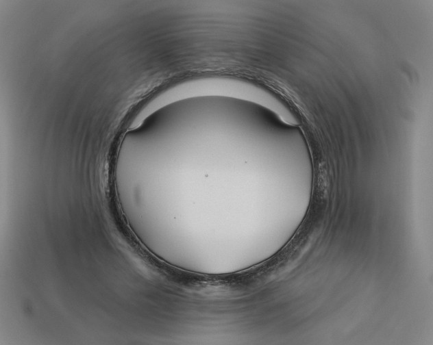 X0000113530589200910161351