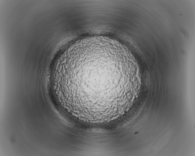 X0000113530590200910161351