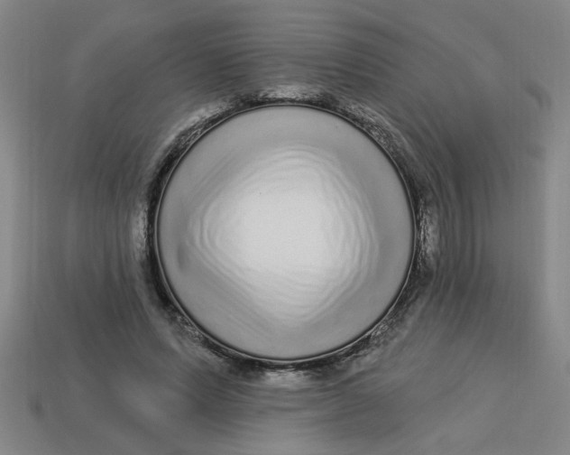 X0000113530591200910161351