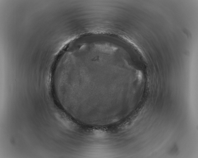 X0000113530592200910161351