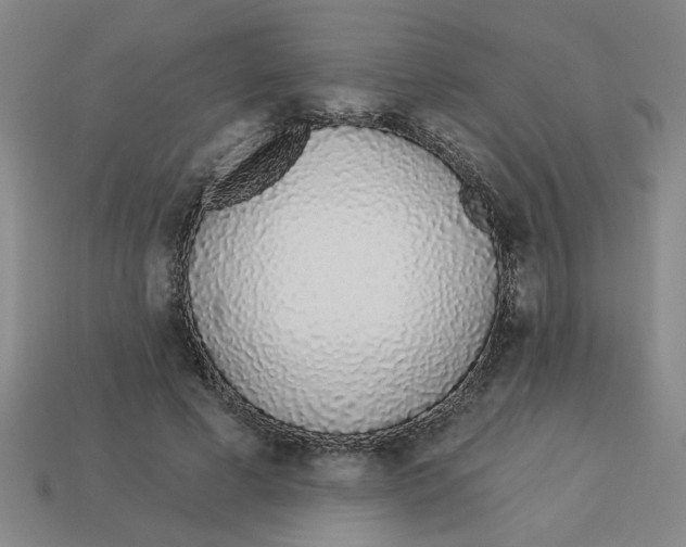 X0000113530593200910161351