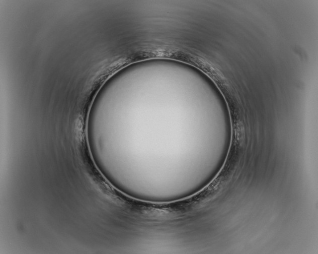 X0000113530594200910161351