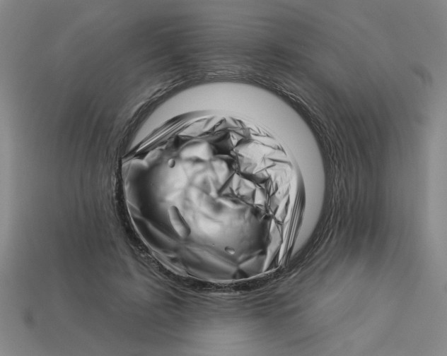 X0000113530595200910161351