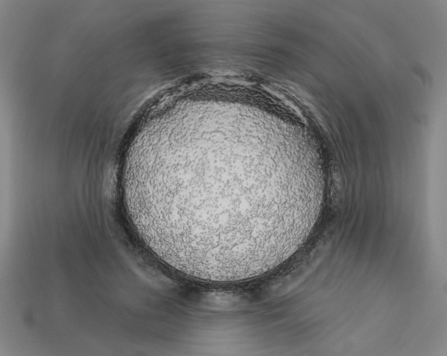 X0000113530596200910161351