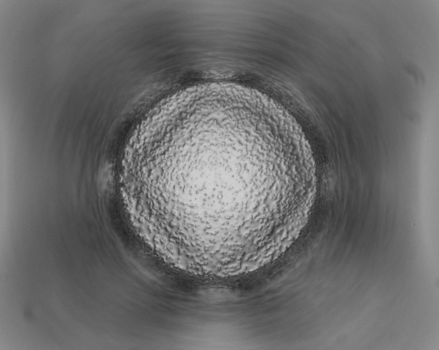 X0000113530598200910161351