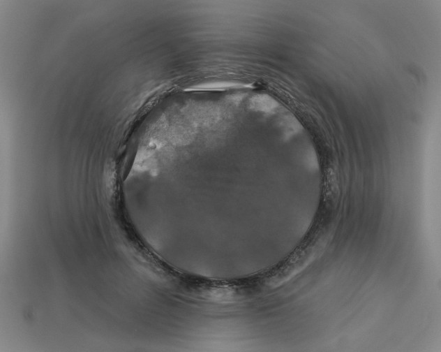 X0000113530600200910161351