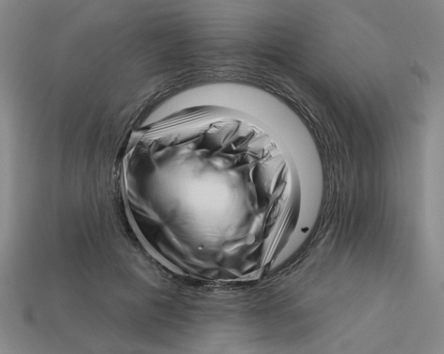 X0000113530601200910161351