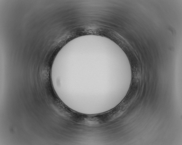 X0000113530603200910161351