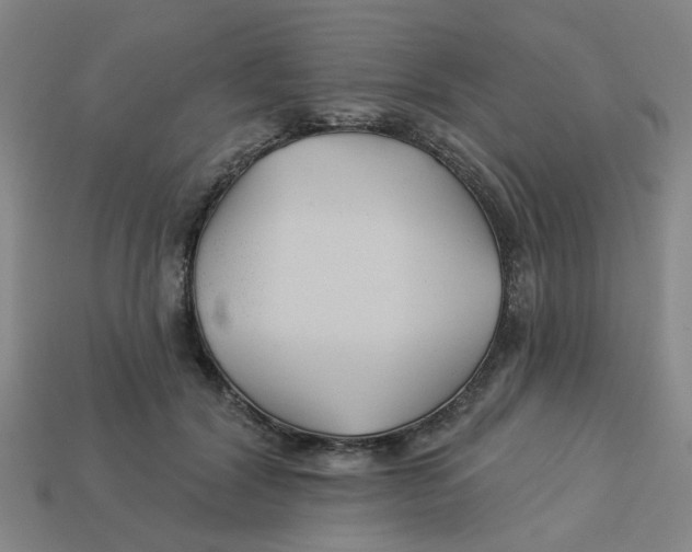 X0000113530604200910161351