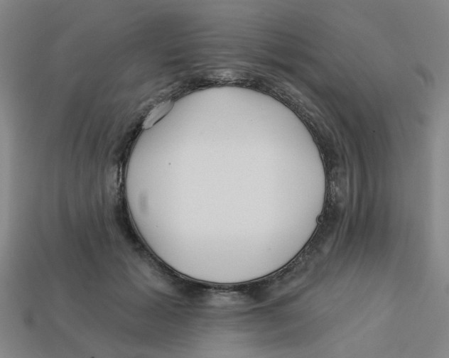 X0000113530605200910161351