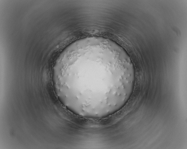 X0000113530606200910161351