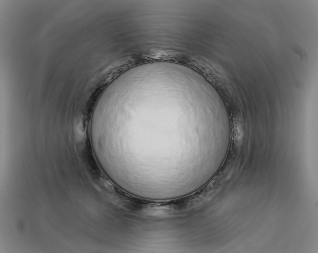 X0000113530607200910161351