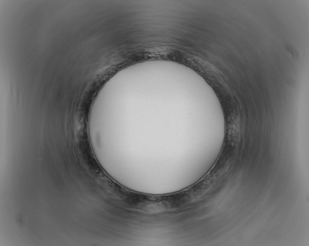 X0000113530608200910161351