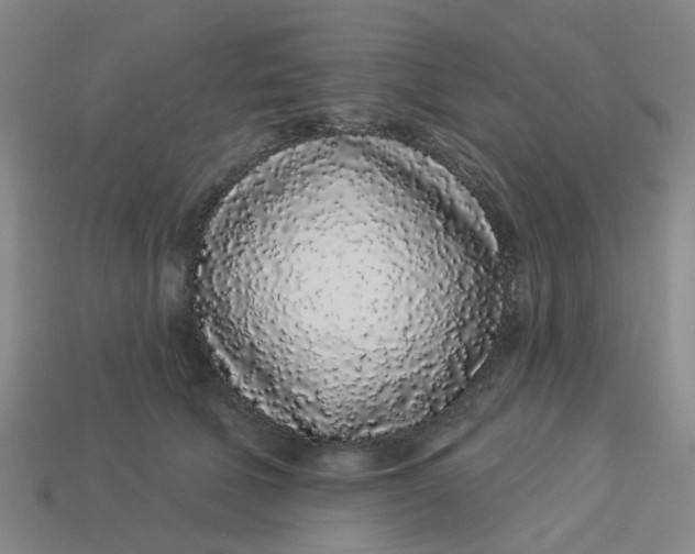 X0000113530610200910161351