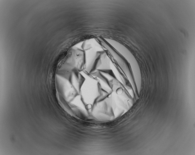 X0000113530611200910161351