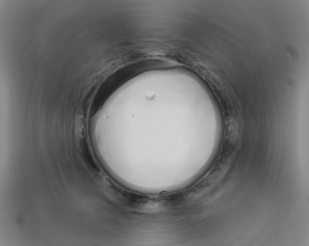 X0000113530612200910161351