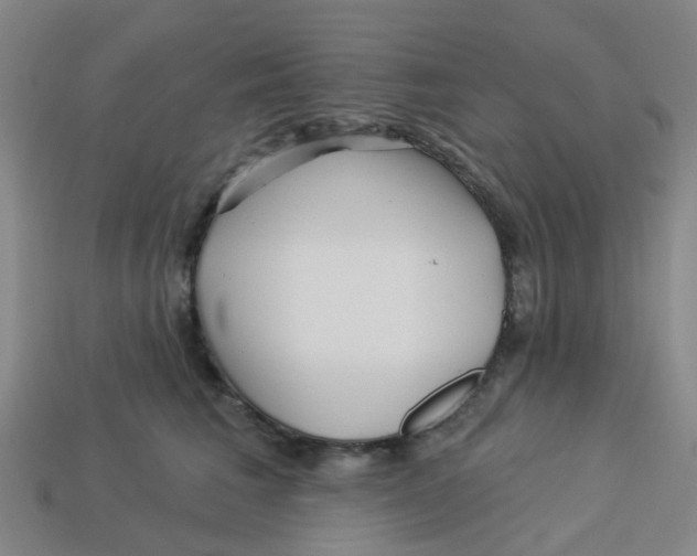 X0000113530613200910161351