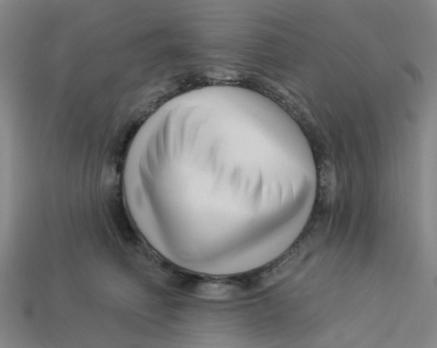 X0000113530614200910161351