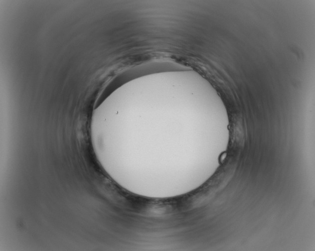 X0000113530616200910161351