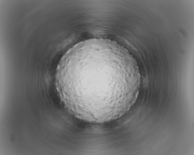 X0000113530618200910161351