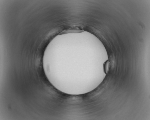 X0000113530619200910161351