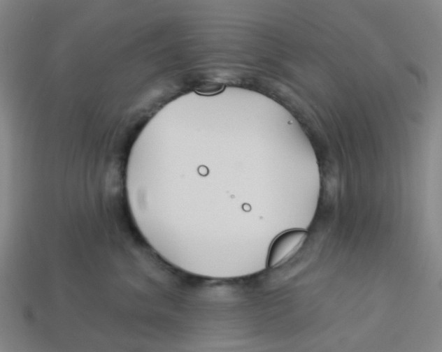 X0000113530620200910161351