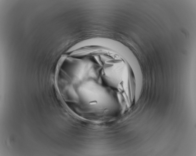 X0000113530621200910161351