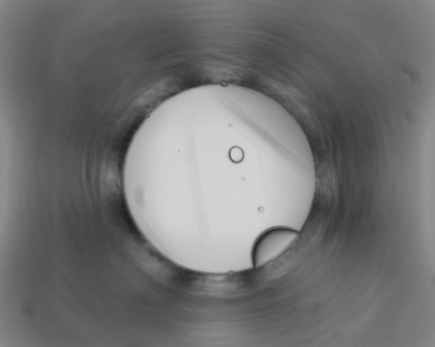 X0000113530622200910161351