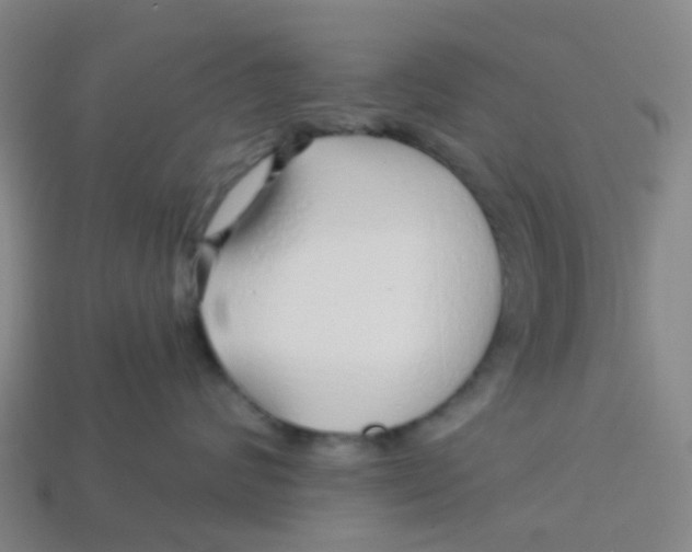 X0000113530624200910161351