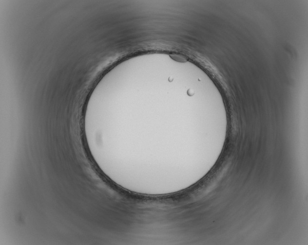 X0000113530625200910161350