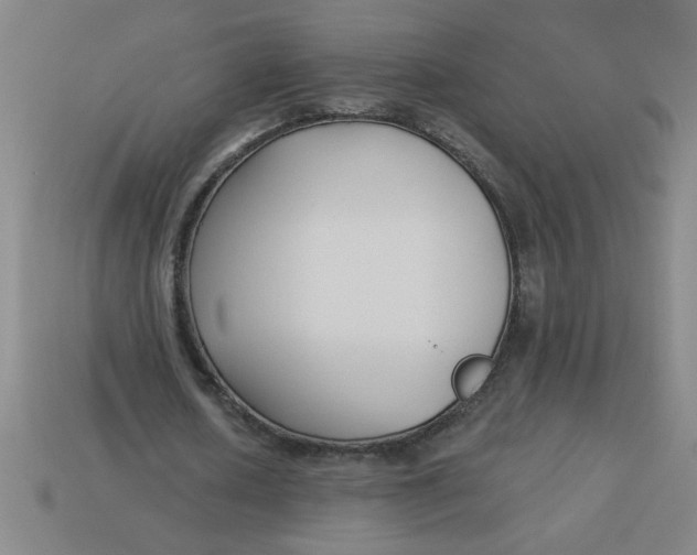 X0000113530626200910161350