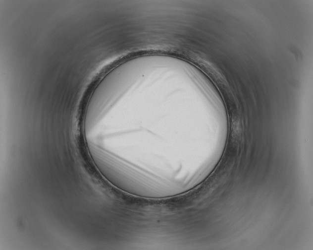 X0000113530628200910161350