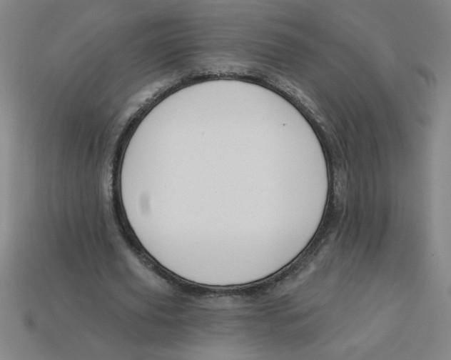 X0000113530629200910161350