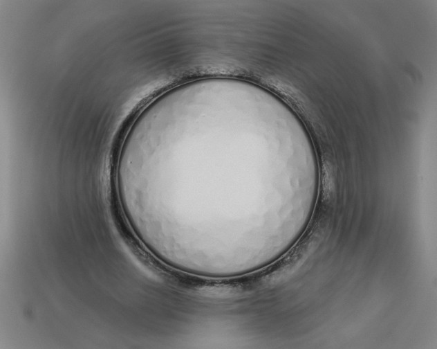 X0000113530630200910161350