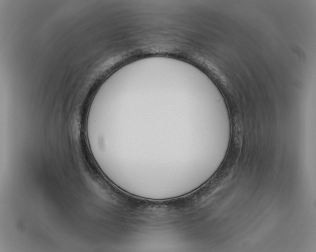 X0000113530631200910161350