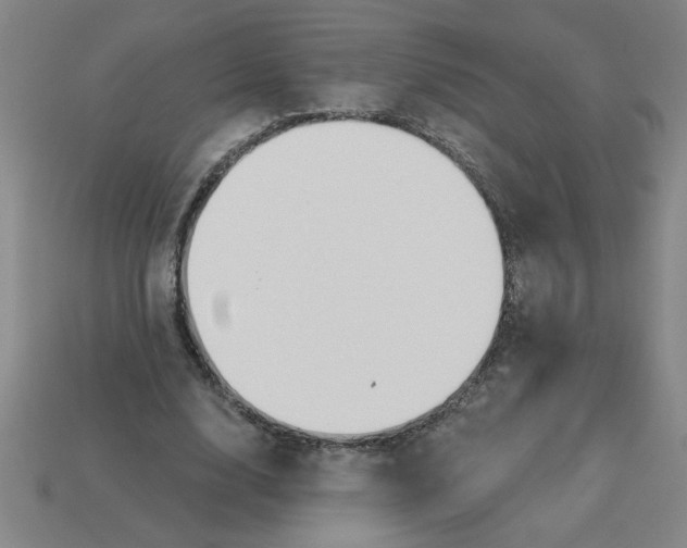 X0000113530632200910161350