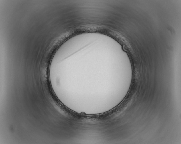 X0000113530633200910161350