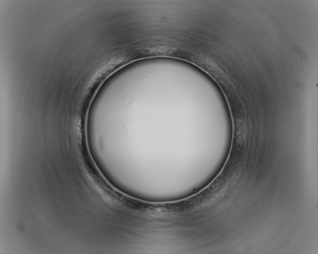 X0000113530634200910161350