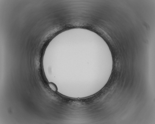 X0000113530635200910161350