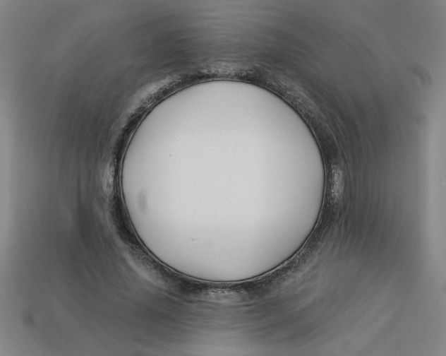 X0000113530636200910161350