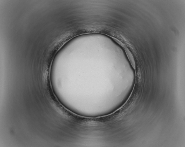 X0000113530637200910161350