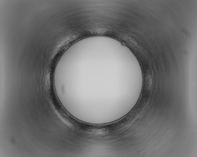 X0000113530638200910161350