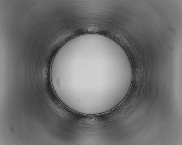 X0000113530639200910161350