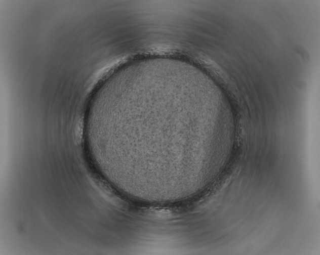 X0000113530640200910161350