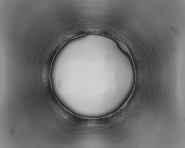 X0000113530641200910161350