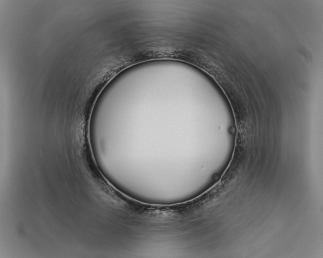 X0000113530642200910161350